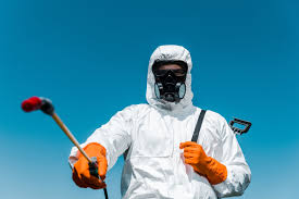 Emergency Pest Control in Woodbranch, TX